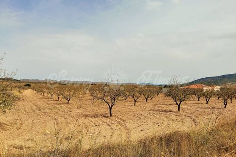 Helårsgrund i Raspay, Murcia, Raspay - € 65.000 | Ref: SF0353 - foto 1